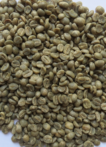 Unroasted Arabica Green Coffee Beans Primos Coffee Co Primos